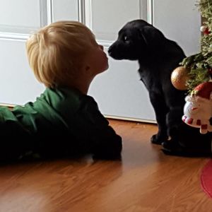 Meet your Posher, Dee